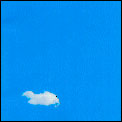 The Plastic Ono Band-Live Peace In Toronto